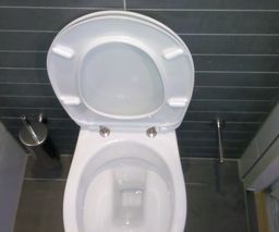 Toilet HS 006